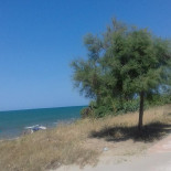 Sapori Del Mare outside