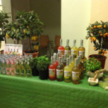 Caffe Delle Ragazze Boisson