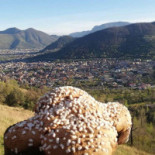 Pasticceria De Santis Extérieur