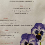 I Ciclamini Carta