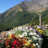 Rableidalm Exterior