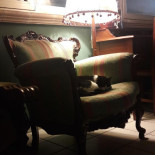 Hibiscus À l'intérieur