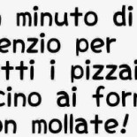Non Solo Pizza logo