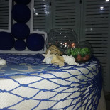 Pizzeria Tiffany Bebida