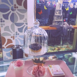 La Tortuga Bebida