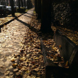 Pizzeria Del Viale Pizzeria Da Asporto outside