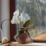 Orobie Alps Resort Bebida