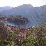 Comacina
