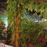 Pizzeria Motte Dentro