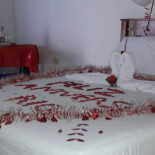 Strano Ma Vero Bebida