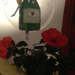 Trattoria Paolino Boisson