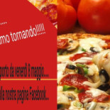 Il Grappolo 2.0 Carte