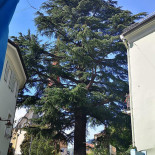 Hasenwirt Silandro Exterior