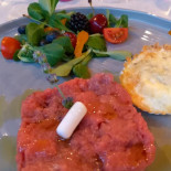 Terra Crea Comida