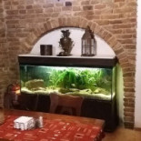Rustikal inside