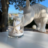 Corallo drink