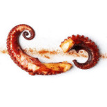 Corallo logo