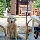 Restaurace U Rasku outside