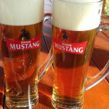 Restaurace U Rasku drink