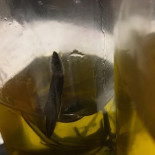 Old Wild West drink