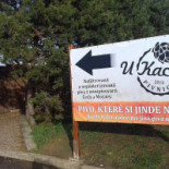 Pivnice U Kacetlu