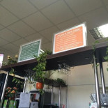 Kaiten Sushi Carte