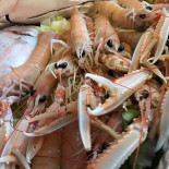 Scialaba' Comida