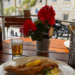 Veselka Cibo