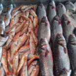 Ombralonga Comida