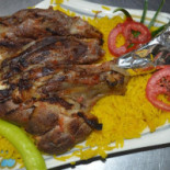 Elsheikh Cibo