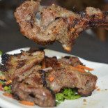 Elsheikh Cibo