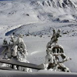 RÀpid Pasta Minuman