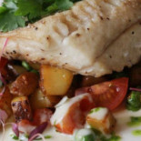 Spring Cafe Cibo