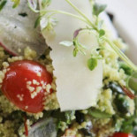 Spring Cafe Cibo