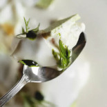 Osteria Degli Assonica drink