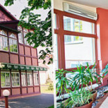 Vila Flora Esterno