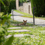 Villa Campomaggio Resort E Extérieur