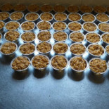 Circolo L'alpino Masera Nuova Gestione drink