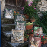 Vecchia Posta À l'intérieur