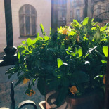 Da Sciolla Extérieur