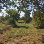 Osteria Del Cacciatore Exterior