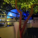 Umamí Exterior