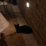 Il Vecchio Bottaio Bebida