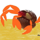 Pasticceria Gelateria Eleonora Dei F.lli Arru Logo