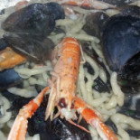 Ostaia Ca' Da Gurpe Al Mare Comida