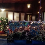 Pizzeria La Lampara Dongo