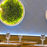 Mojito Cafe Boisson