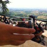 Metastasio Boisson