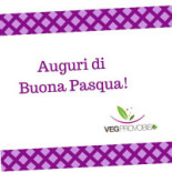 Pro Vobis Logo
