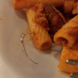 Cristallo Assisi food